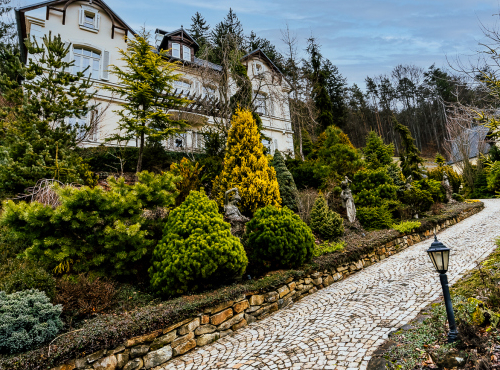Historical villa Monte Carlo, Trenčianske Teplice
